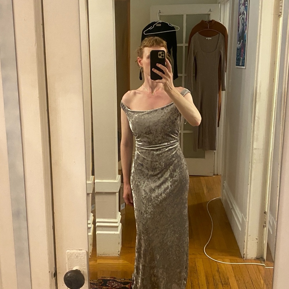 Reformation Silver Velvet Maxi Dress - Picture 13 of 15